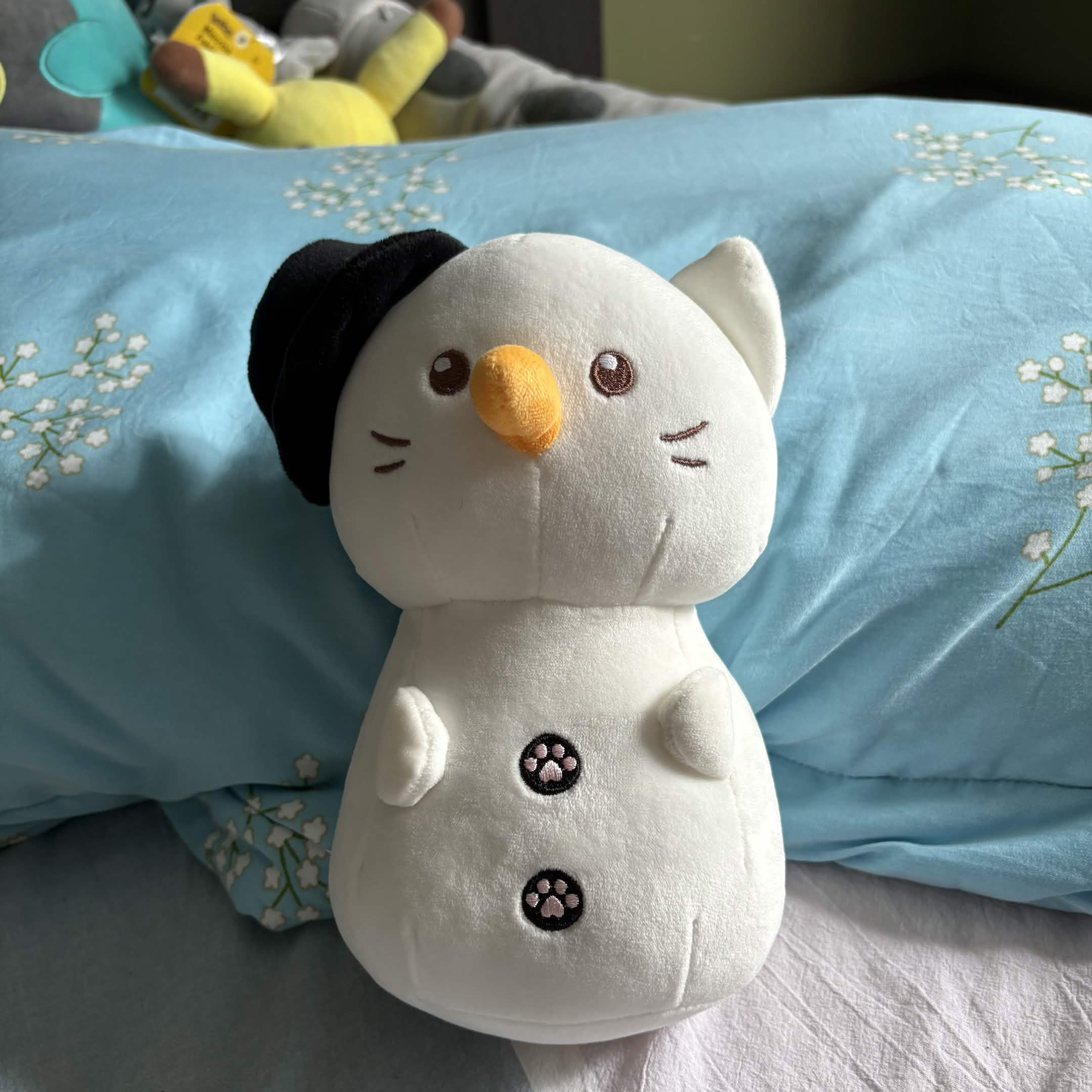 This is a snowman cat plush. I got this as a Christmas gift from a kid I used to live with back in high school. Very cute.